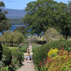 Garten... Daneben war noch ein Obst- und Gemüsegarten...