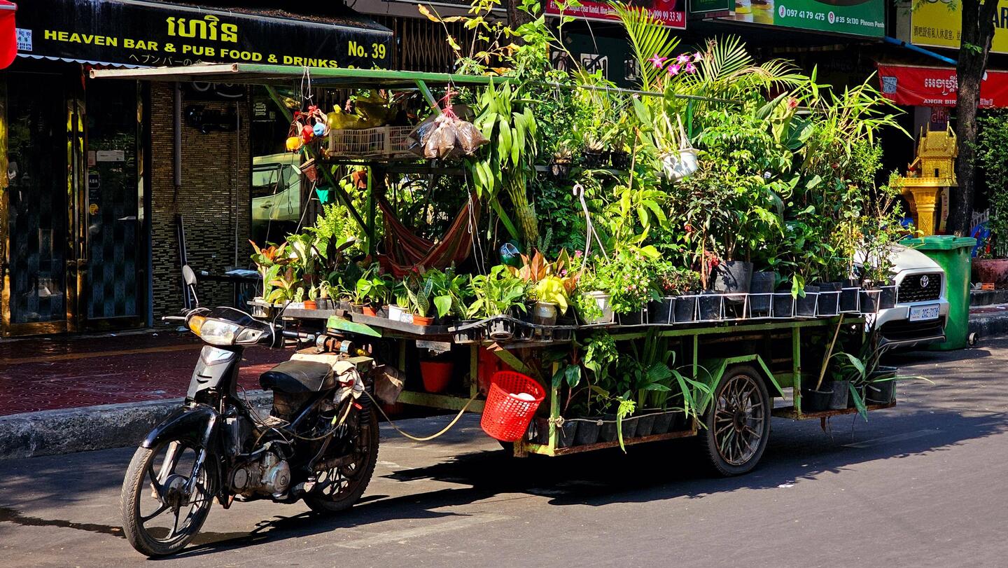 Blumenverkauf per Moped...