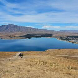 The area looked arid, but it was rather interesting.