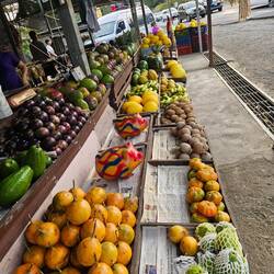 Auf dem Rückweg wollten wir etwas Obst kaufen, war aber zu teuer, 2.000 Colones für eine Mango 🤯