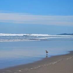 Endlich am Meer
