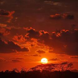 Dieser Sonnenuntergang, wir dachten wir wären in Afrika