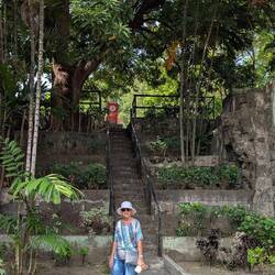 The Gardens