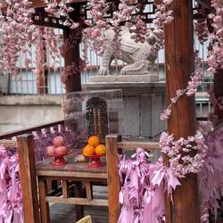 Outside the temple