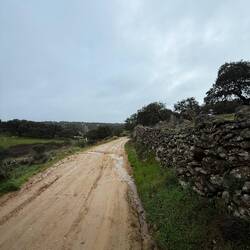Landscape leaving Monesterio