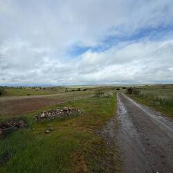Halfway to Fuente de Cantos