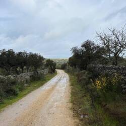 Landscape past Monesterio
