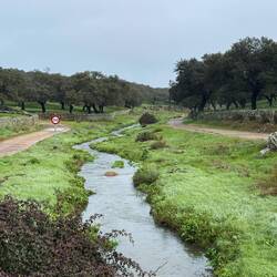 Creek leaving Monesterio