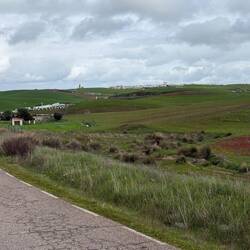 Fuente de Cantos ahead