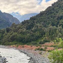 Fox Glacier