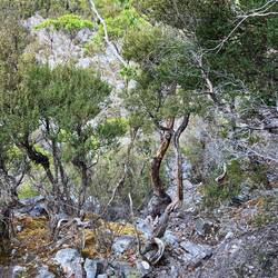 Irgendwie bin ich da hochgekommen 😅