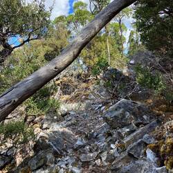 ... und weiter geht's...