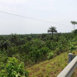 Ein toller Ausblick!