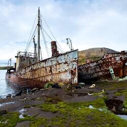 Dias & Albatros ... whaling/sealing vessels — Grytviken, SGI.
