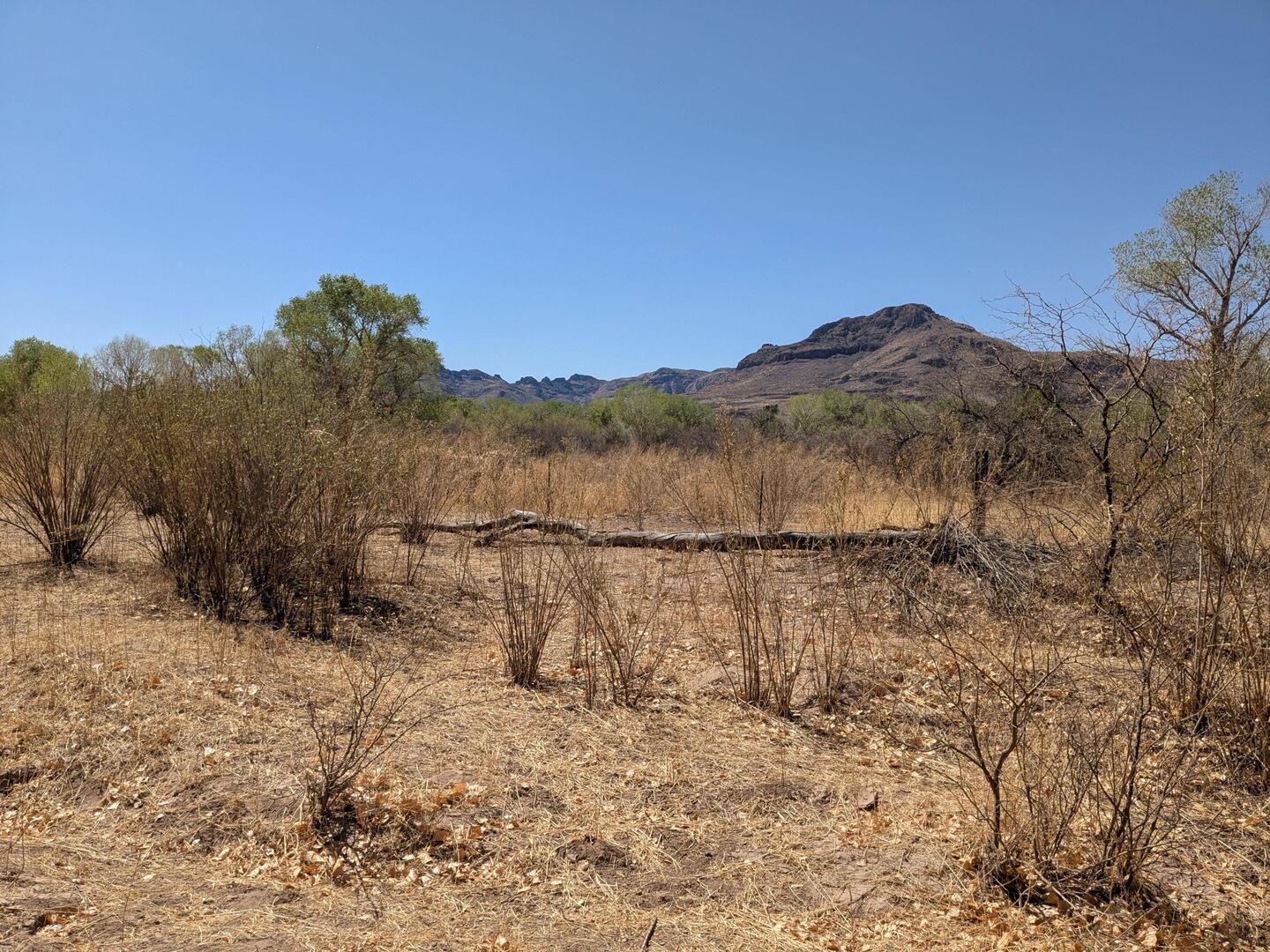 Beautiful day. No clouds. Slight breeze.