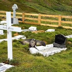Captain Felix Artuso is the only Argentinian buried at the Whalers Cemetery in Grytviken.