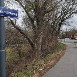 Biber habe ich keine gesehen