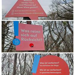 Fragen über Fragen