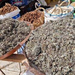 Unbekannt roch aber gut