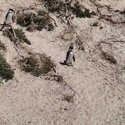 Immer schön vorsichtig.. 😉😂