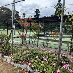 Lawn bowling
