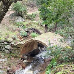 Auf dieser Brücke sollen wir den Wasserlauf queren.