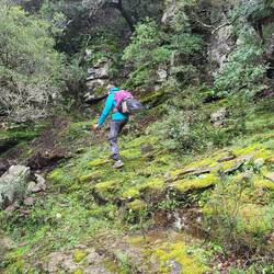Es gibt keinen Weg (mehr) zu der Brücke.