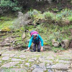 Auf allen Vieren geht's.