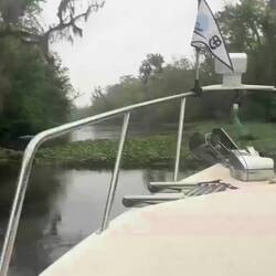 Video breaking through the Water Hyacinth