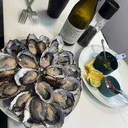 First batch of fresh oysters from a farm. $16/doz and we get to shuck them 🤣
