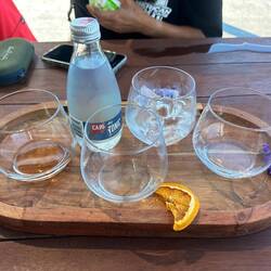 Gin tasting platter