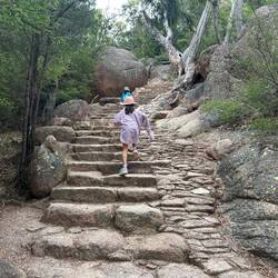 Short hike but the stairs were no joke