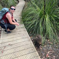 Kennt sich zufällig jmd mit dem Export von Wallabys aus?... Frage für nen Freund.🤭😇🥰