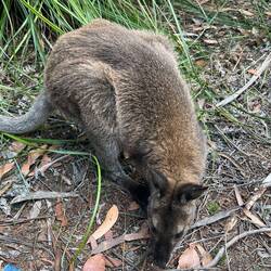 Auf der Zielgeraden wurden wir schon erwartet.😀