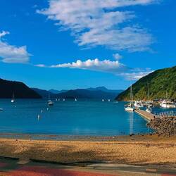 Shelly beach à Picton