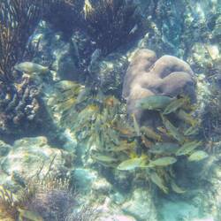 Beim Schnorcheln durften wir die Unterwasserwelt erleben