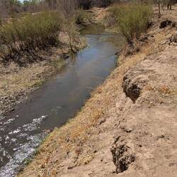 We did see 3 deer but too far away.