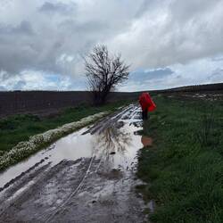 Land of mud