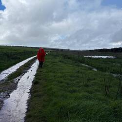 Navigating the storm