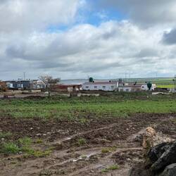 Typical hog farm