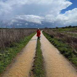 Walking the line