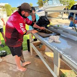 Frischer kann der Fisch nicht sein