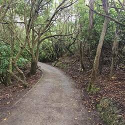 Walk down to the Boulders