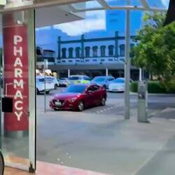 Swarms of parrots, the noise was ridiculous