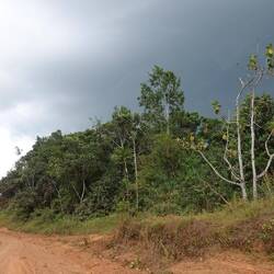 Das sieht nach Gewitter aus - zum Glück zieht die Wolke donnernd vorbei