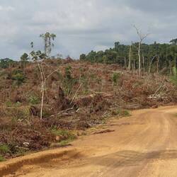 Aber es sieht nicht an allen Stellen so schön aus