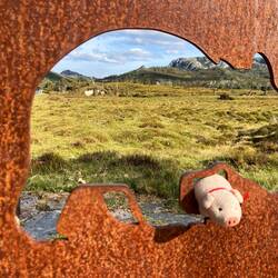 The Overland Track: Beginnt mit Wombats und endet mit Schnabeltieren