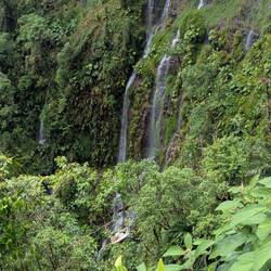 Immer noch 2 Autos🤔