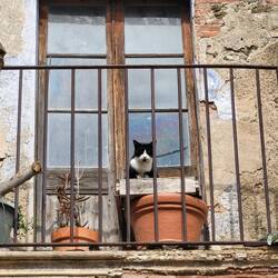 Hier ist sie - und es ist nicht Leni!