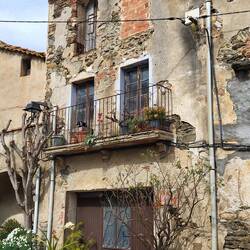 Wer findet die Katze?